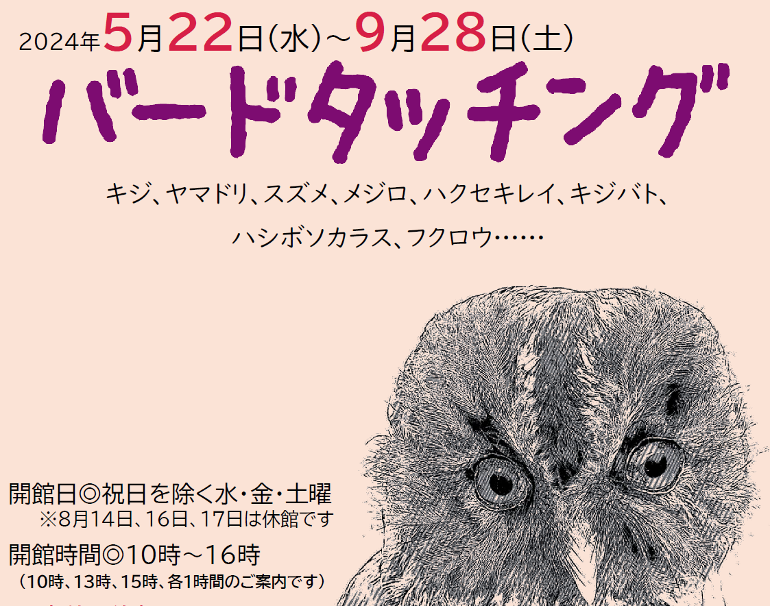 第14回企画展「バードタッチング」