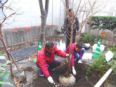 植樹画像